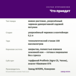 Петуния Bubbles Lavander Twist (0,1л) — что приедет