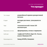 Петуния Bubbles Purple (0,1л) — что приедет