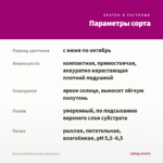 Петуния Bubbles Purple (срезы/5шт) — параметры сорта