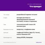 Петуния BUBBLES Violet Blue (0,1л) — что приедет