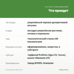Петуния Bubbles White (0,1л) — что приедет