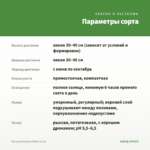 Петуния Bubbles White (0,1л) — параметры сорта