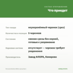 Петуния Bubbles White (срезы/5шт) — что приедет