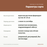 Петуния Capella Berry Lace (срезы/5шт) — параметры сорта