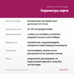 Петуния Capella Burgundy (срезы/5шт) — параметры сорта