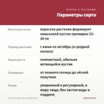 Петуния Capella Cherry Vanilla (0,1л) — параметры сорта