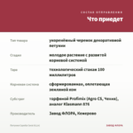 Петуния Capella Coral (0,1л) — что приедет