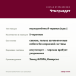 Петуния Capella Fuchsia Lace (срезы/5шт) — что приедет