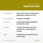 Петуния Capella Hello Yellow (0,1л) — параметры сорта