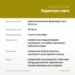 Петуния Capella Hello Yellow (срезы/5шт) — параметры сорта