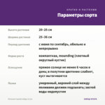 Петуния Capella Indigo (0,1л) — параметры сорта