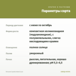 Петуния Capella Inked (0,1л) — параметры сорта