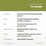 Петуния Capella Inked (0,1л) — что приедет