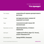 Петуния Capella Magenta Diamond (0,1л) — что приедет