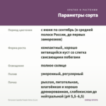 Петуния Capella Purple Veins (0,1л) — параметры сорта