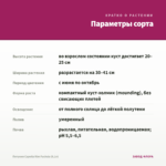 Петуния Capella Rim Fuchsia (0,1л) — параметры сорта