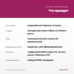 Петуния Capella Rim Fuchsia (0,1л) — что приедет