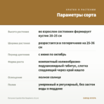 Петуния Capella Rim Raspberry (0,1л) — параметры сорта