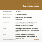 Петуния Capella Rim Raspberry (0,1л) — параметры сорта