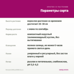 Петуния CAPELLA ROSE (0,1л.) — параметры сорта