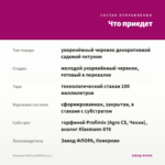 Петуния CAPELLA ROSE (0,1л.) — что приедет