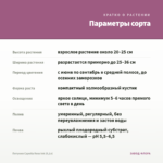 Петуния Capella Rose Ink (0,1л) — параметры сорта