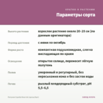 Петуния Capella Rose Ink (срезы/5шт) — параметры сорта