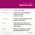 Петуния CAPELLA ROSE (срезы/5шт) — параметры сорта