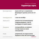 Петуния Capella Sangria (0,1л) — параметры сорта