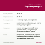 Петуния Capella Sangria (0,1л) — параметры сорта