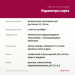 Петуния Capella Sangria (срезы/5шт) — параметры сорта