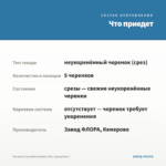 Петуния Cascadias Arizona Sky (срезы/5шт) — что приедет