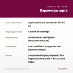 Петуния Cascadias Bicolor Cabernet (0,1л) — параметры сорта