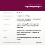 Петуния Cascadias Bicolor Cabernet (срезы/5шт) — параметры сорта