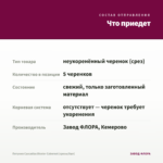 Петуния Cascadias Bicolor Cabernet (срезы/5шт) — что приедет