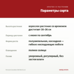 Петуния Cascadias Chili Red (0,1л) — параметры сорта