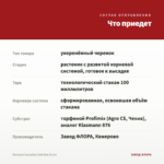 Петуния Cascadias Chili Red (0,1л) — что приедет