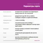 Петуния Cascadias Fantasy Hot Pink Imp. (0,1л) — параметры сорта