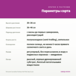 Петуния Cascadias Fantasy Hot Pink Imp (0,1л) — параметры сорта