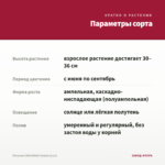 Петуния CASCADIAS Fuchsia (0,1л) — параметры сорта