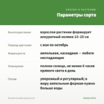 Петуния Cascadias Iceberg (0,1л) — параметры сорта
