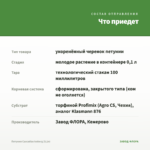 Петуния Cascadias Iceberg (0,1л) — что приедет