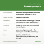 Петуния Cascadias Iceberg (срезы/5шт) — параметры сорта