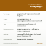 Петуния Cascadias Indian Summer (0,1л) — что приедет
