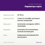 Петуния Cascadias Indigo (0,1л) — параметры сорта