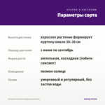 Петуния Cascadias Indigo (срезы/5шт) — параметры сорта