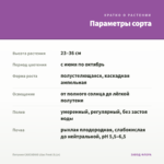 Петуния CASCADIAS Lilac Frost (0,1л) — параметры сорта