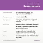 Петуния CASCADIAS Lilac Frost (0,1л) — параметры сорта