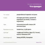 Петуния CASCADIAS Lilac Frost (0,1л) — что приедет