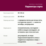 Петуния Cascadias Rim Cherry (0,1л) — параметры сорта